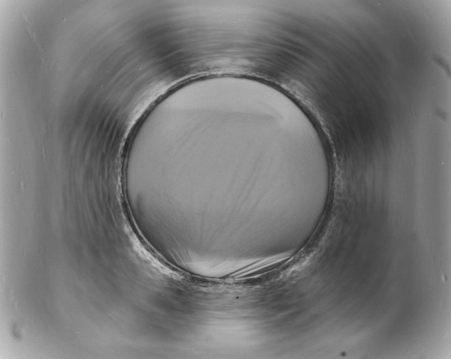 X0000102230941200808151726
