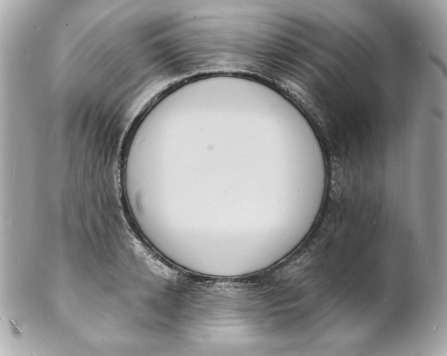 X0000102230942200808151726