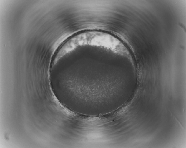 X0000102230943200808151726