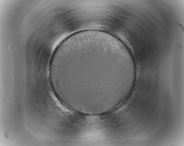 X0000102230944200808151726