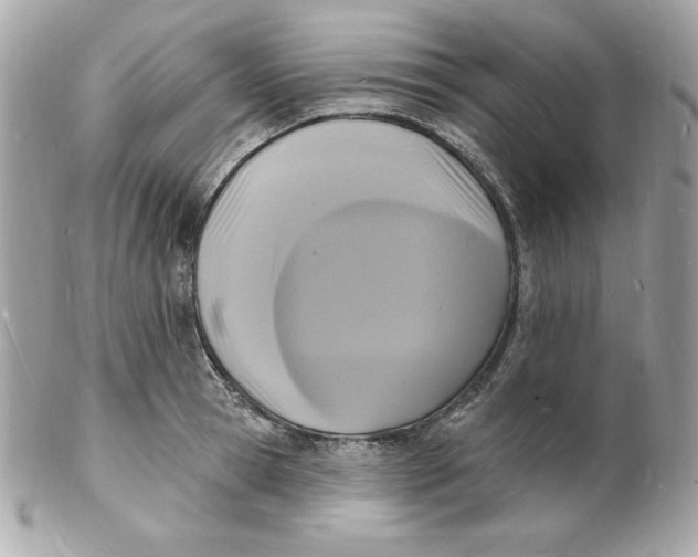 X0000102230945200808151726