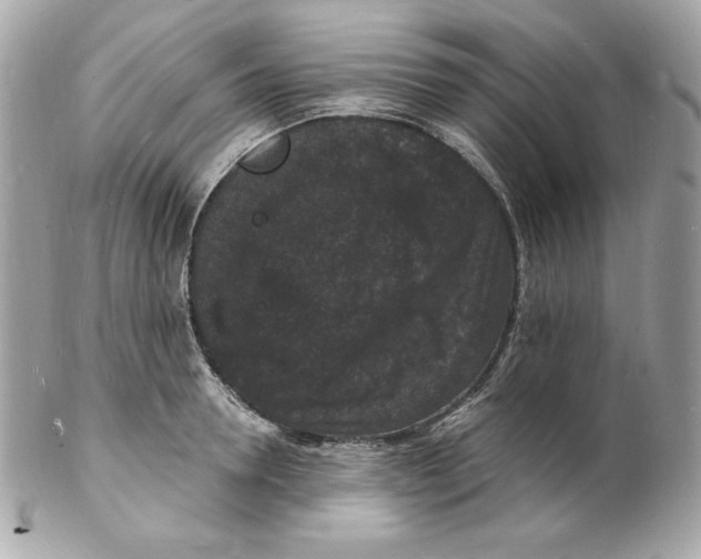 X0000102230946200808151726
