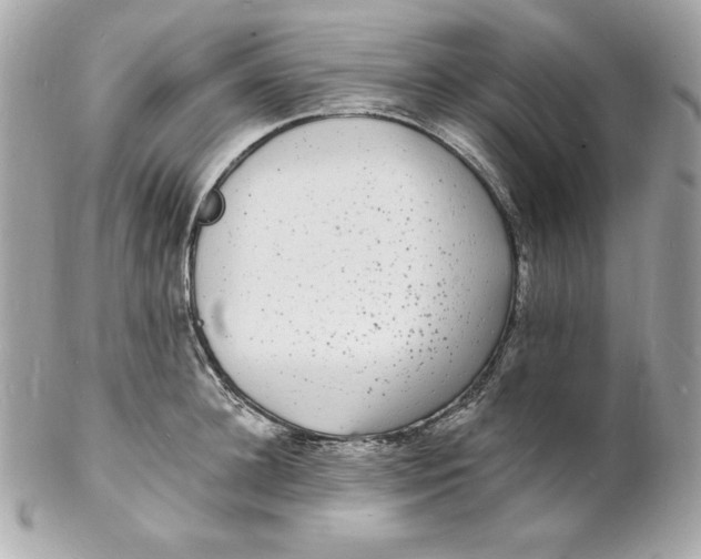 X0000102230948200808151726