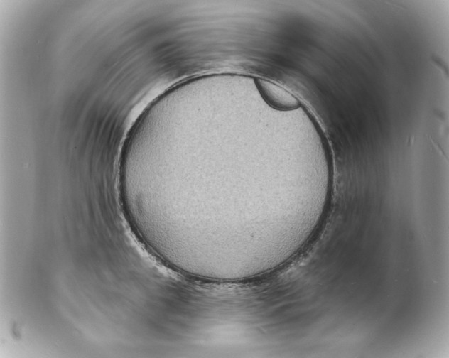 X0000102230949200808151726