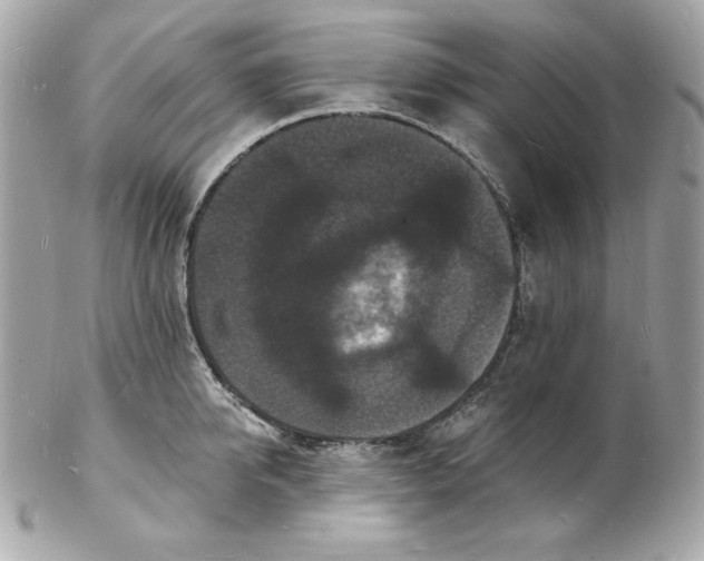 X0000102230950200808151726