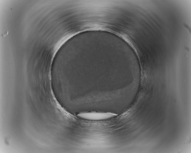 X0000102230951200808151726