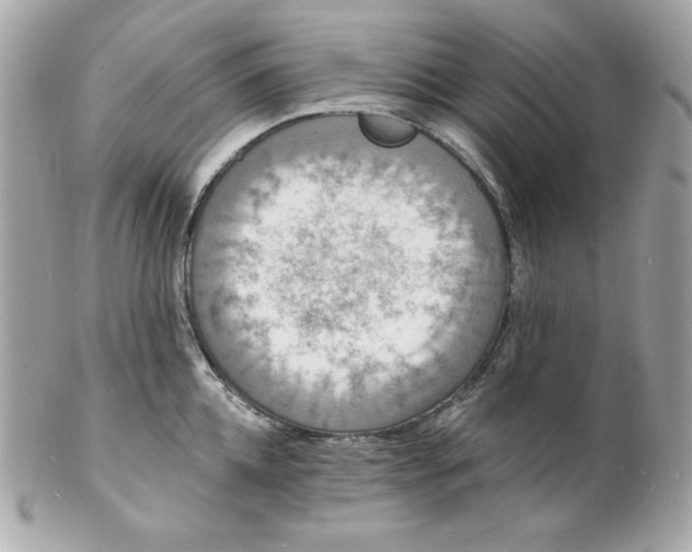 X0000102230952200808151726