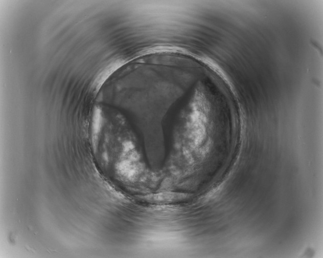 X0000102230953200808151726