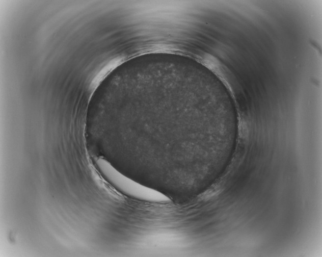 X0000102230954200808151726