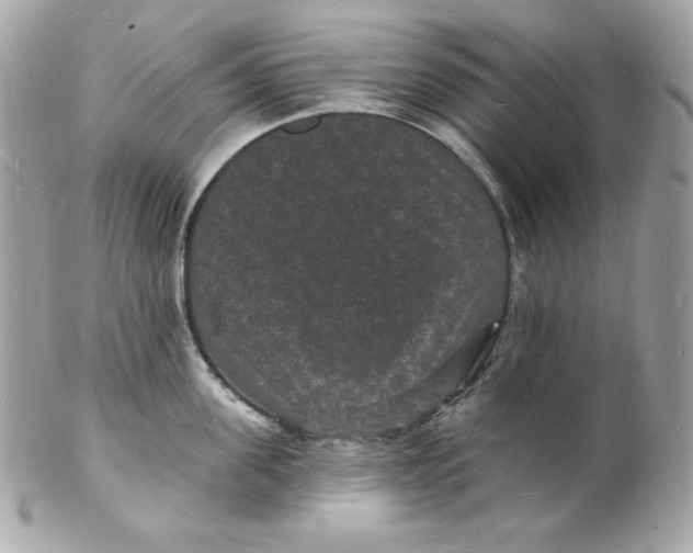 X0000102230955200808151726