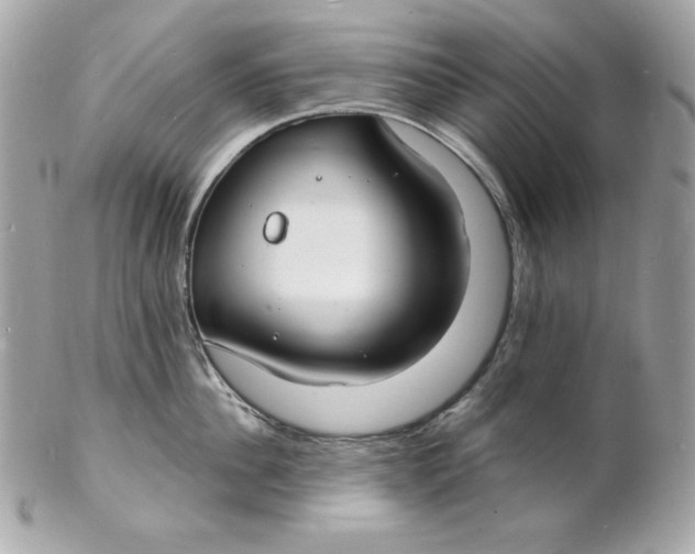 X0000102230956200808151726