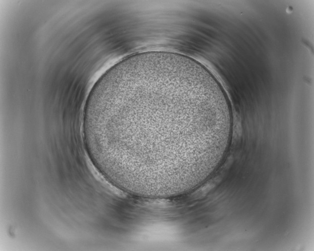 X0000102230957200808151726