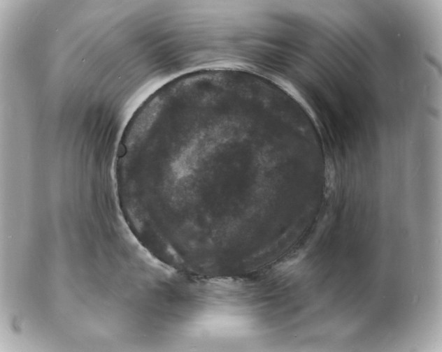 X0000102230959200808151726
