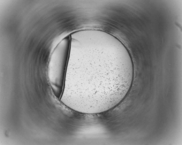 X0000102230960200808151726