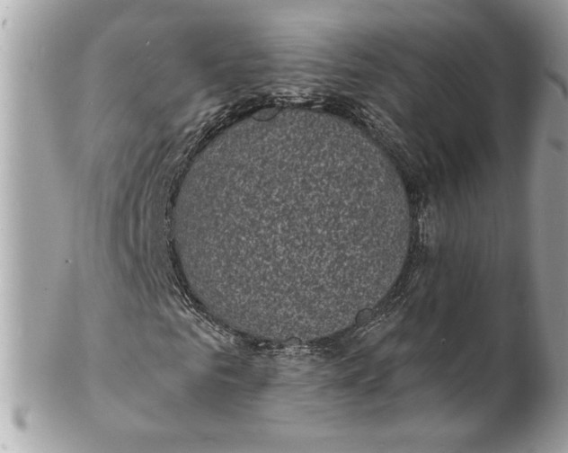 X0000102230961200808151726