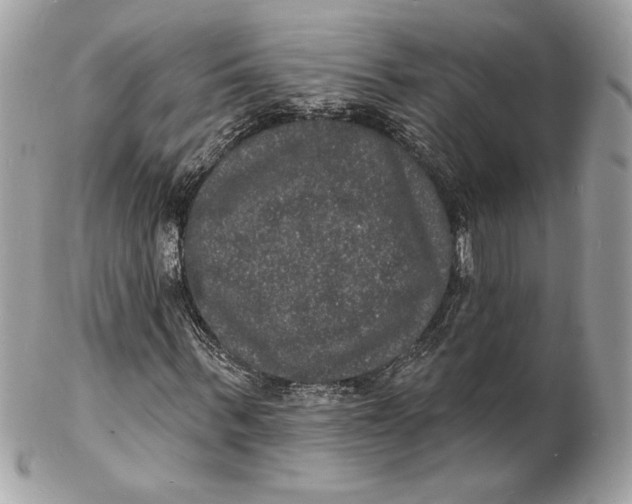 X0000102230963200808151726