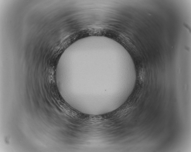 X0000102230964200808151726