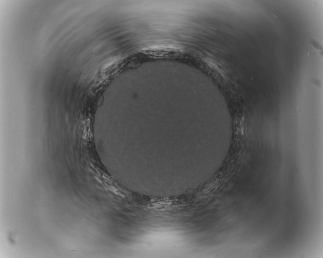 X0000102230965200808151725