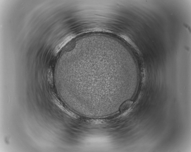 X0000102230969200808151725
