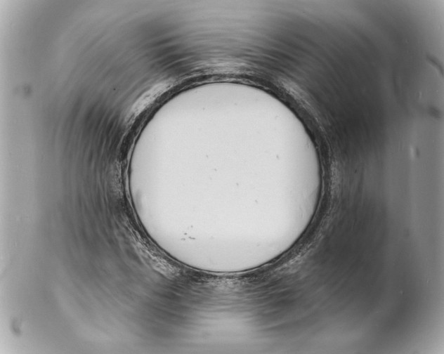 X0000102230970200808151725