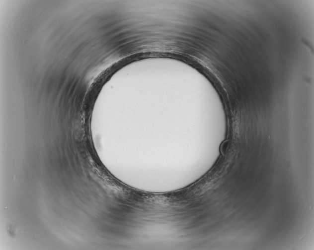 X0000102230971200808151725