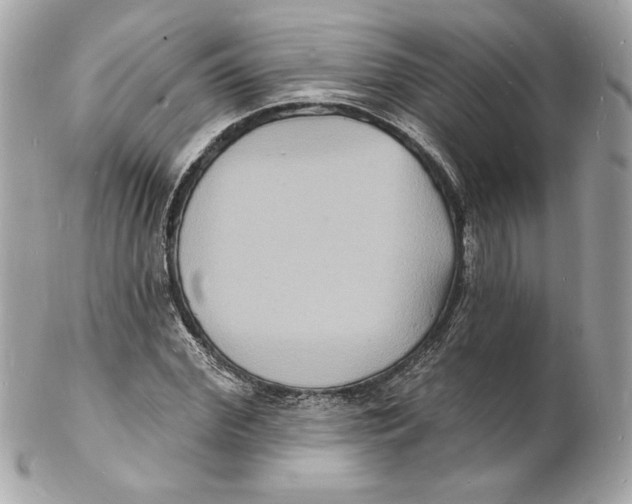 X0000102230972200808151725