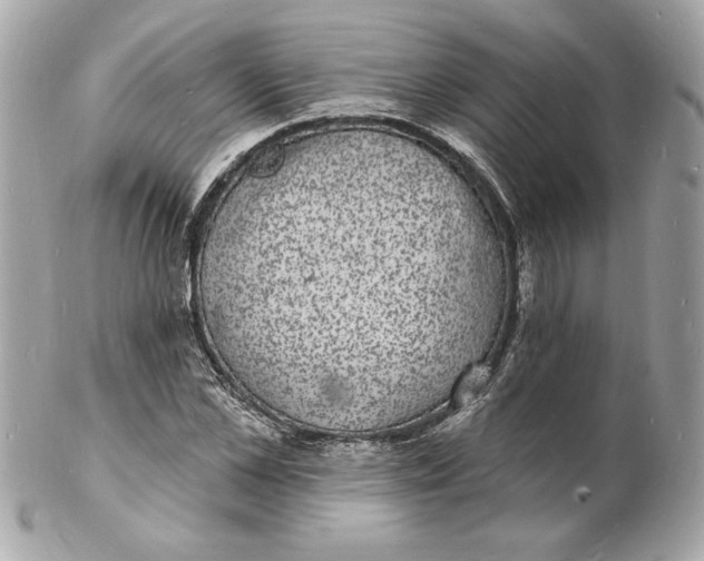 X0000102230973200808151725