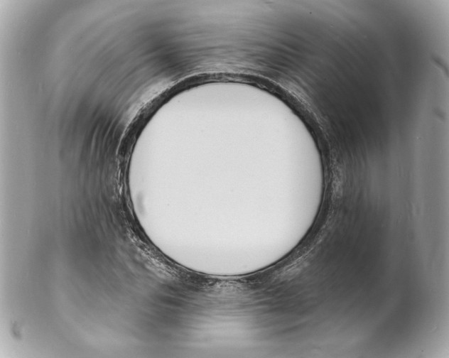 X0000102230974200808151725