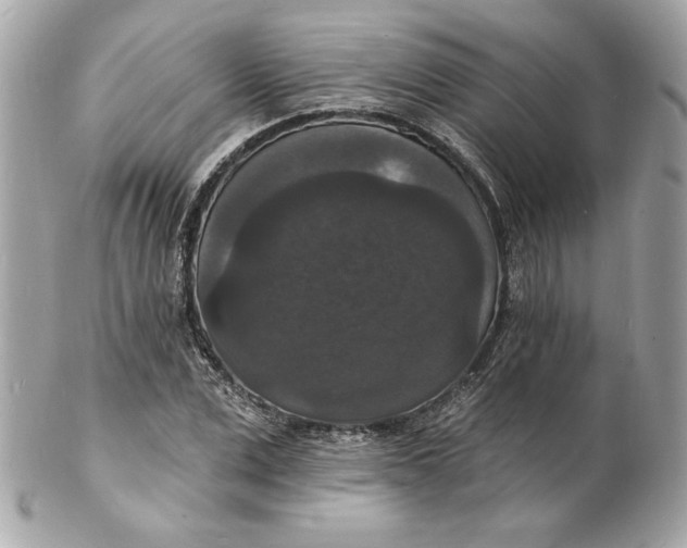 X0000102230975200808151725