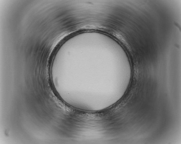 X0000102230976200808151725