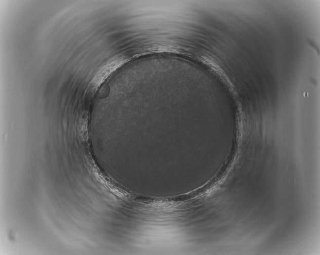 X0000102230977200808151725