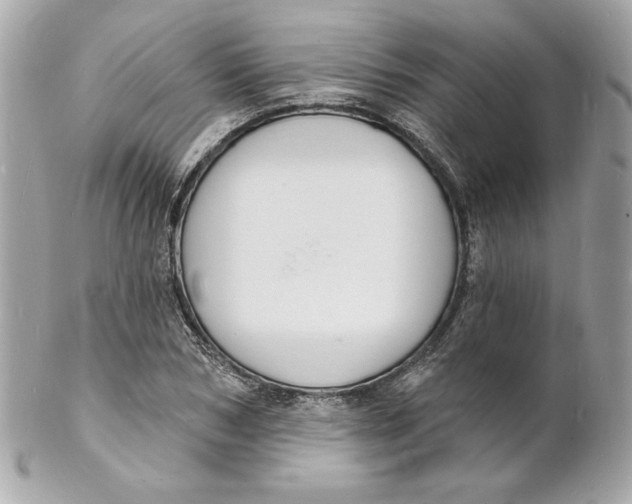 X0000102230978200808151725