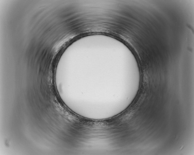 X0000102230979200808151725