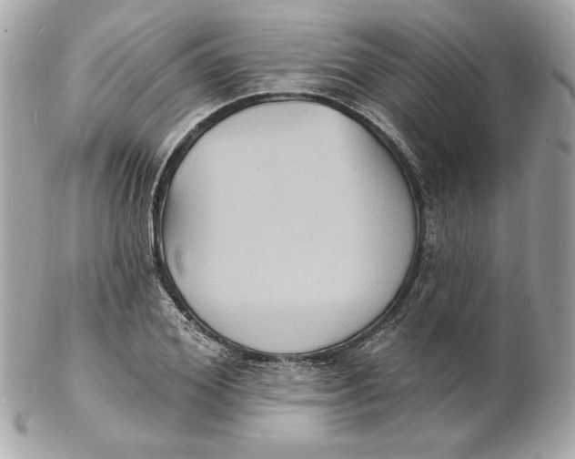 X0000102230980200808151725