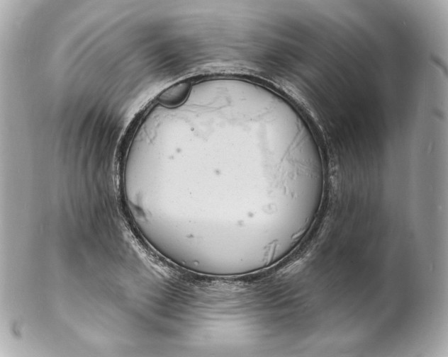 X0000102230981200808151725