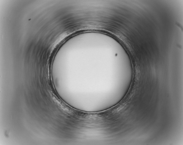 X0000102230982200808151725