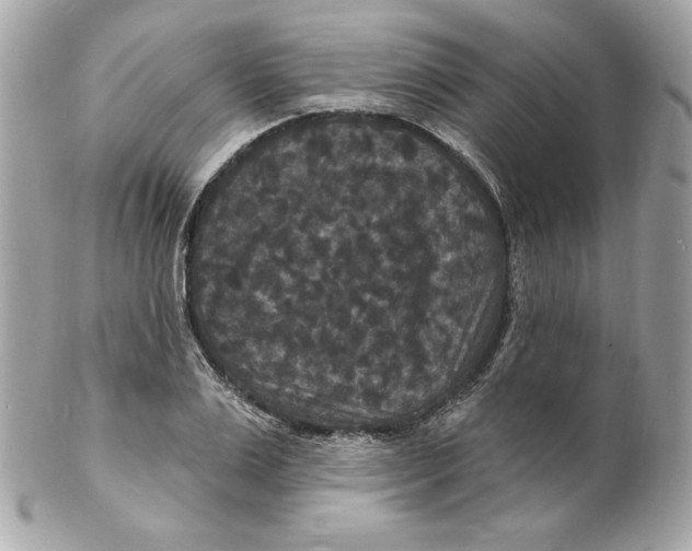 X0000102230983200808151725