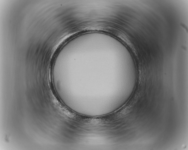 X0000102230984200808151725