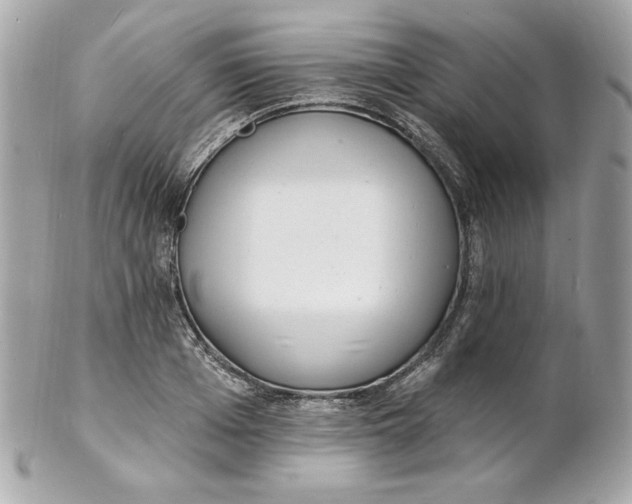 X0000102230985200808151725
