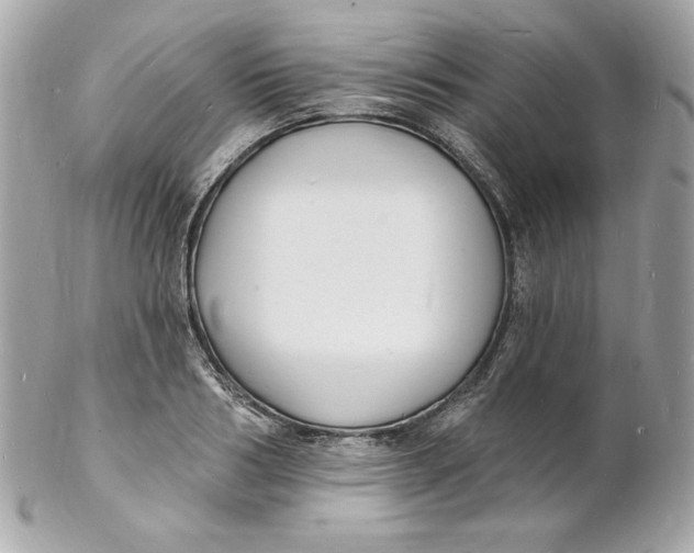 X0000102230986200808151725