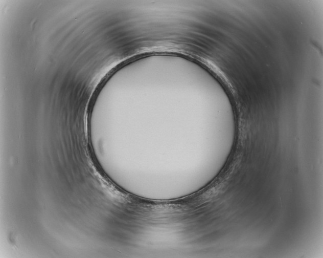 X0000102230988200808151725