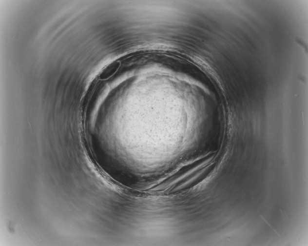 X0000102230989200808151725