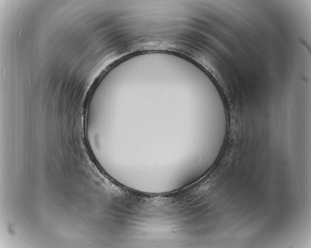 X0000102230992200808151725