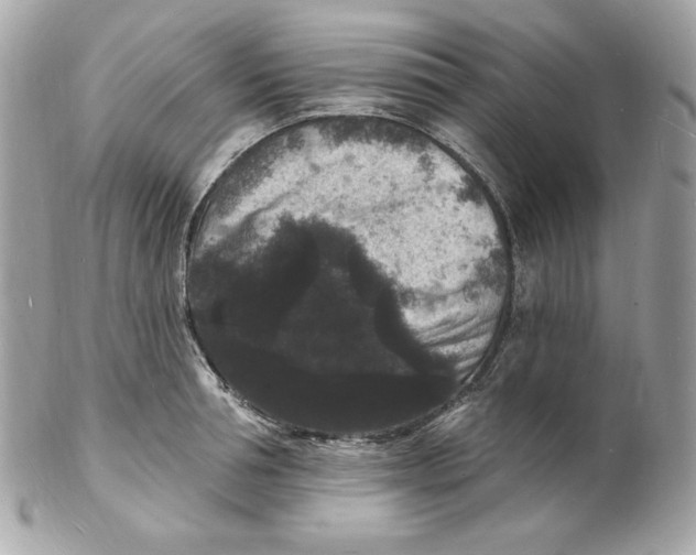X0000102230994200808151725
