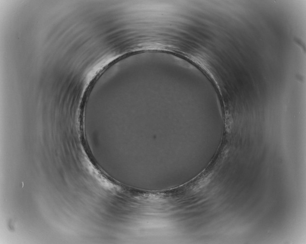 X0000102230995200808151725