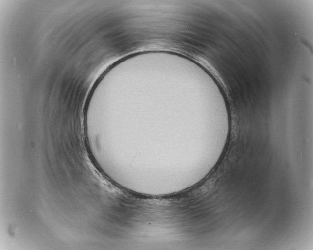 X0000102230996200808151725