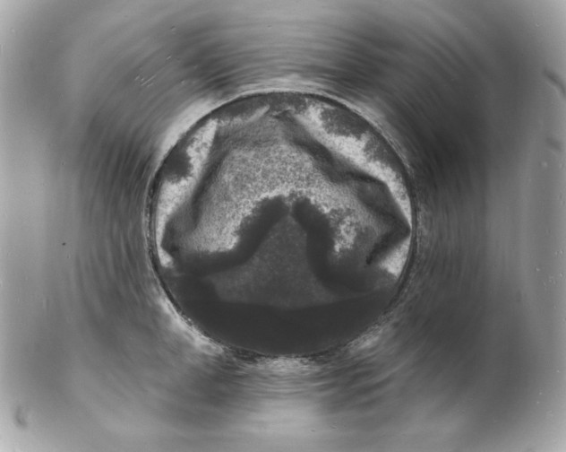 X0000102230998200808151725