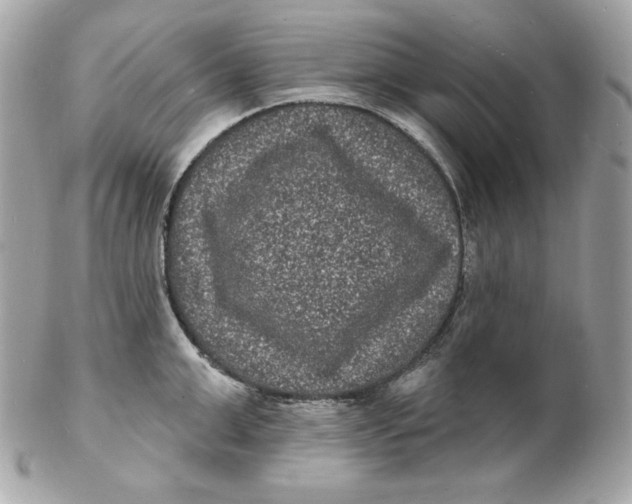 X0000102230999200808151725