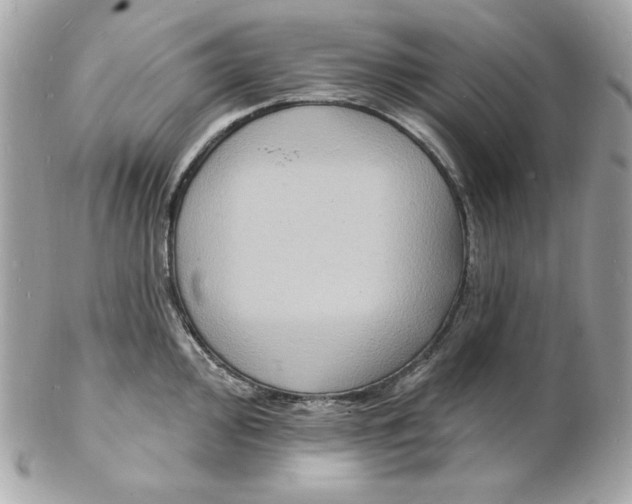 X0000102231000200808151725