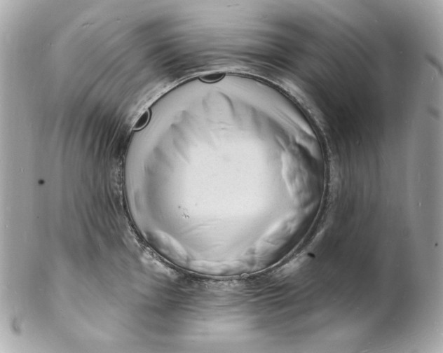X0000102231001200808151725